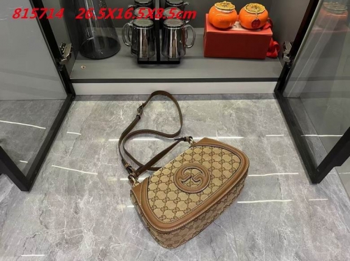 AAA -- G.u.c.c.i. Bags Part E 16569