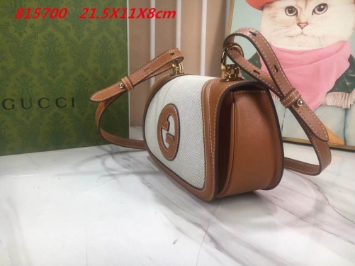 AAA -- G.u.c.c.i. Bags Part E 16398