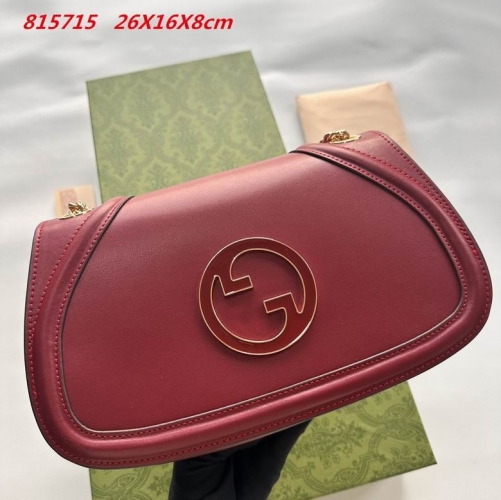 AAA -- G.u.c.c.i. Bags Part E 16544