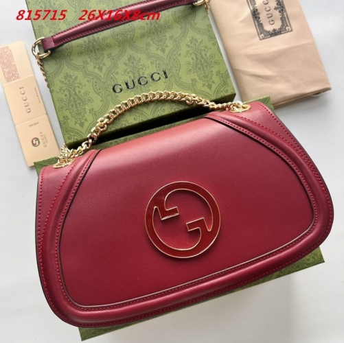 AAA -- G.u.c.c.i. Bags Part E 16549