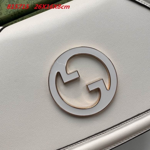 AAA -- G.u.c.c.i. Bags Part E 16532