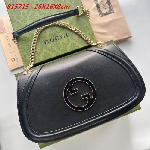 AAA -- G.u.c.c.i. Bags Part E 16555