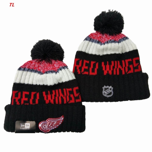 2025/26 NHL Beanies 4033 Men/Women