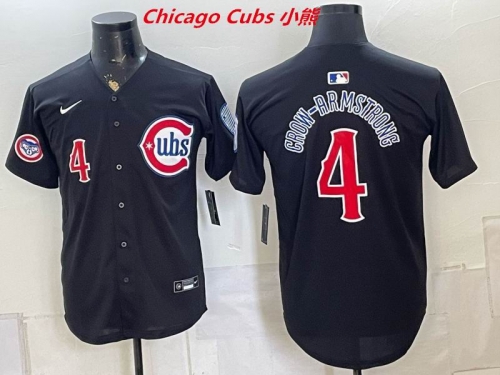 MLB Chicago Cubs 10208 Men