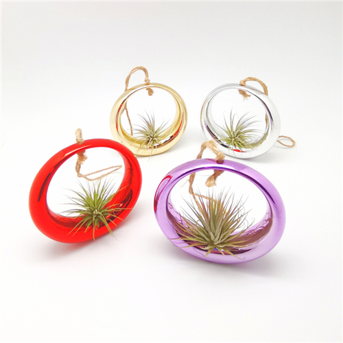 4/S Ceramic Hanging Ring for Mounting Air Plants