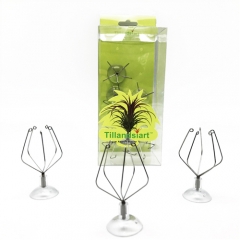 10Pack Suction Cup Air Plant Holder Set - Patented DIY Kit