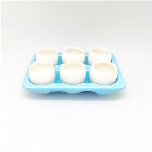 6Pcs Mini Plant Containers with Egg Tray