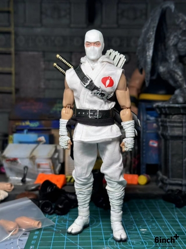 Storm Shadow Suit