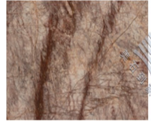 Versailles ultra-thin translucent slab - product photo