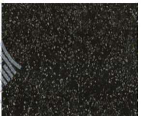 Seashells Black ultra-thin translucent slab - product photo
