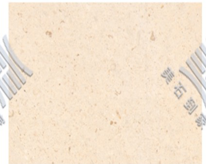 MOREONYX Gascogne limestone