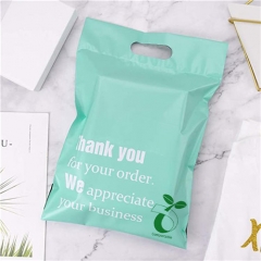 Personalized Printed Colorful Blue Mailers Mailing Reusable Plastic Compostable Mailer Bags With Handle