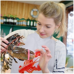 Custom Waterproof Oilproof Restaurant BBQ Seafood Lobster Plastic Bibs Disposable Apron