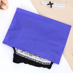 Custom Ziplock Frosted Plastic Bag Zipper Apparel Clothing Packaging Bag Apricot Black Pink Purple Zipper Bags Plastic