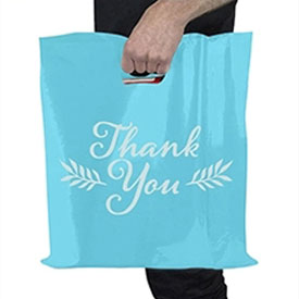 Custom Printed Ldpe Hdpe Designer Reusable Plastic Shopping Carry Bags With Handle