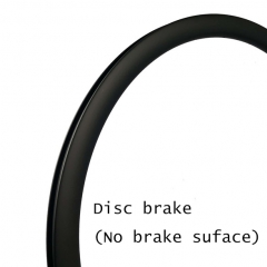 Disc brake (no brake line)