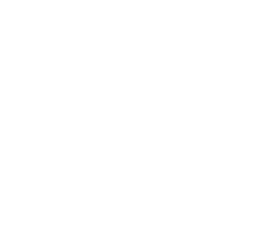 RandMvape-Professional Vape Device Supplier, RandM Max, Disposable Pod Device