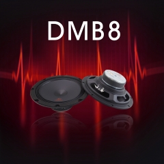 DMB8