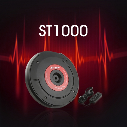 ST1000