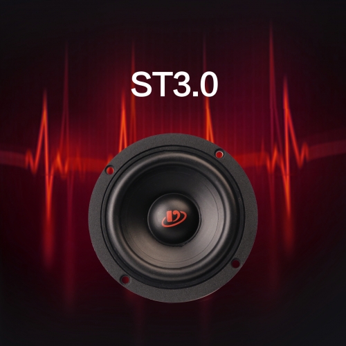 ST3.0