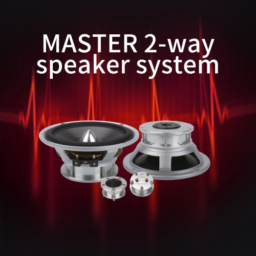MASTER 2-way speaker system