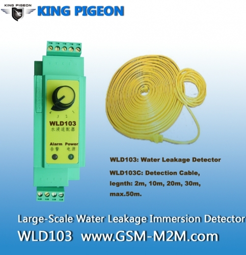 Large-Scale Water Leakage Immersion Detector