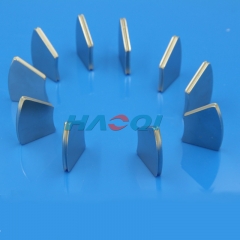 NdFeB Magnet fan-shaped