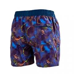 Herren Badehose Quick Dry Beach Boardshorts Bademode Badeanzüge Sportwear mit Mesh Futter