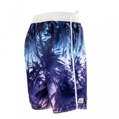Herren Badehose Quick Dry Beach Boardshorts Bademode Badeanzüge Sportwear mit Mesh Futter