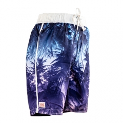 Calção de banho masculino Quick Dry Beach Boardshorts Swimwear Banho De Roupa Esportiva com Forro de Malha