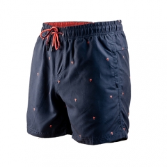 Maillots de bain pour hommes short de plage rapide et sec Boardshorts maillots de bain vêtements de sport avec doublure en maille