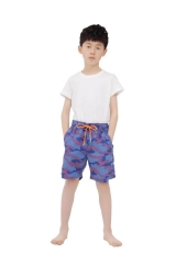 Boys Swim Trunks Toddler Swim Shorts Little Boys Bathing Suit Swimsuit Toddler Boy Swimwear