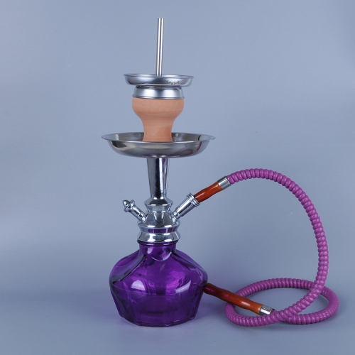 pruple hookah with 2 hose