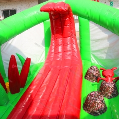 Lizard Inflatable Slide