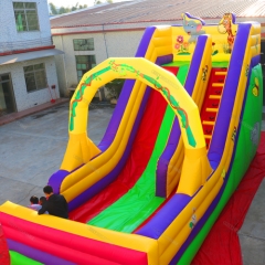 Cartoon Inflatable Dry Slide