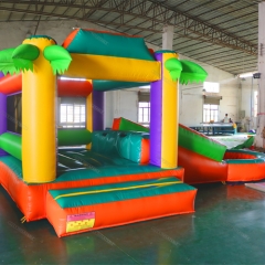 Tropical Bouncer Castle With Pool