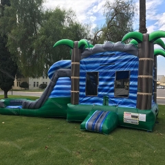 Tropical Inflatable Wet Bouncer Castle