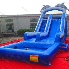 Single Lane Inflatable Slide Wet or Dry