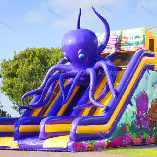 Inflatable Octopus Slide