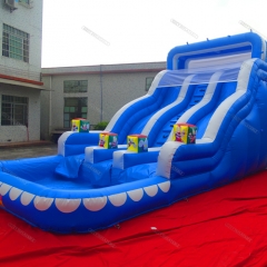 Inflatable Water Slide