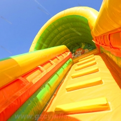 Jungle Slide Inflable