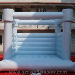 Frost Color Inflatable Bounce House
