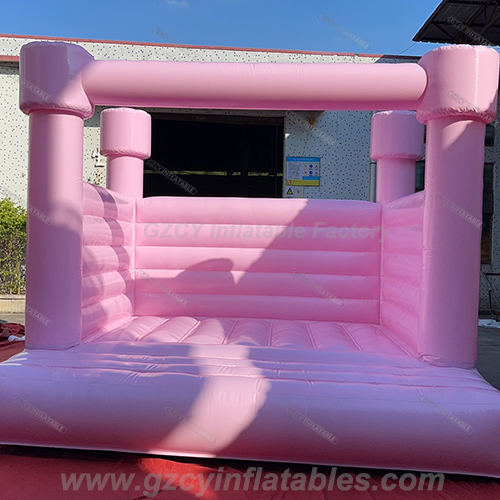 Pink Bouncy Castle