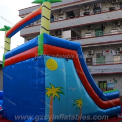 Double Lane Color Water Slide