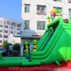 Green Tropical Water Slide