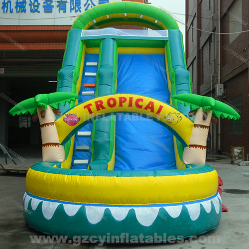 Tropicai Inflatable Water Slide With Pool