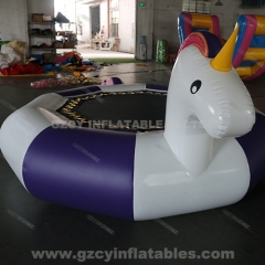 Unicorn Water Trampoline