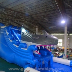 Inflatable Whale Water Slide With Pool