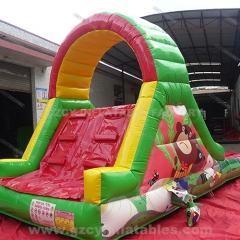 Inflatable Slide For Kid