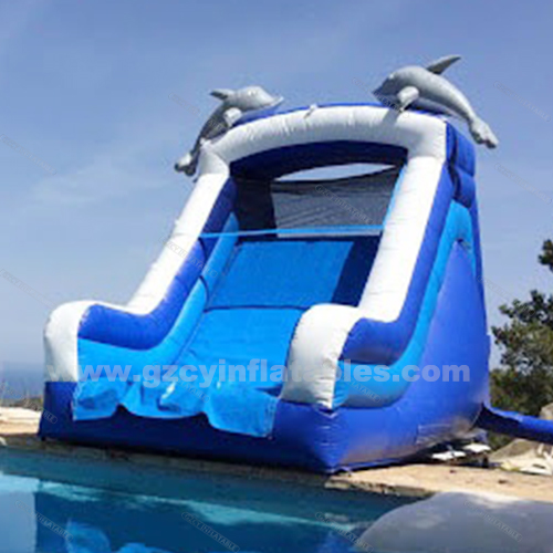 Little Dolphin Commercial Outdoor Inflatable Pool Slide